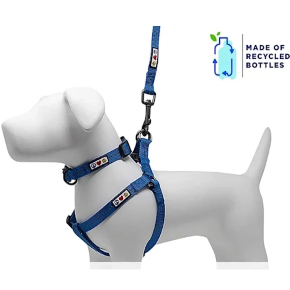 Pawitas 6 ft Puppy or Dog Leash & Reflective Harness, Blue, Size Small